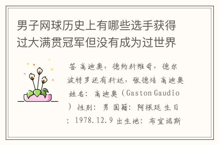 男子网球历史上有哪些选手获得过大满贯冠军但没有成为过世界排名第一的选手?