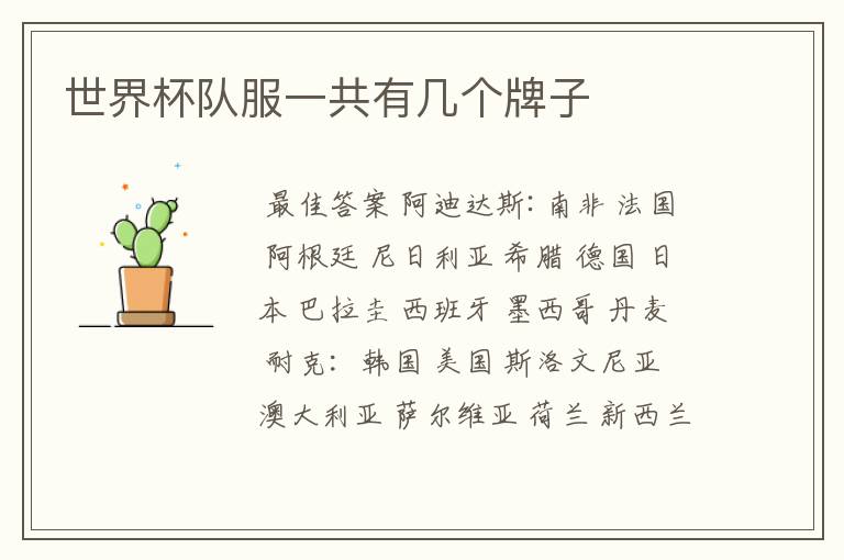 世界杯队服一共有几个牌子
