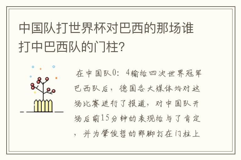 中国队打世界杯对巴西的那场谁打中巴西队的门柱?