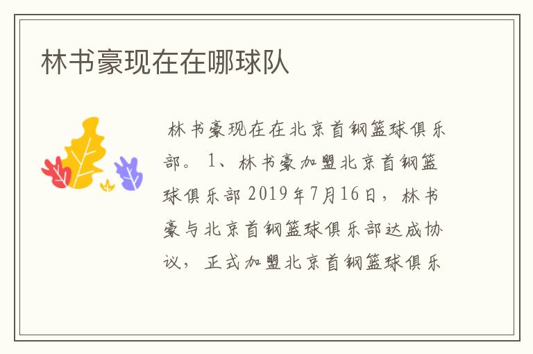 林书豪现在在哪球队