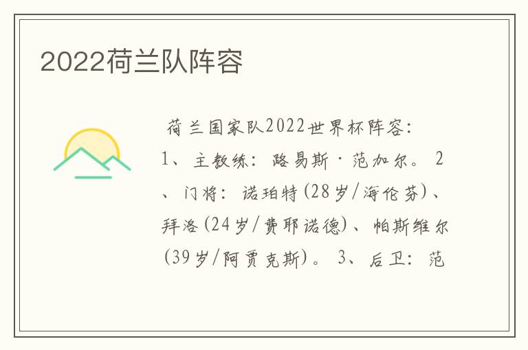 2022荷兰队阵容