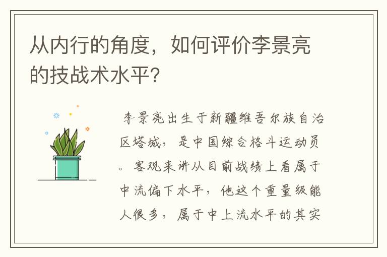 从内行的角度,如何评价李景亮的技战术水平?
