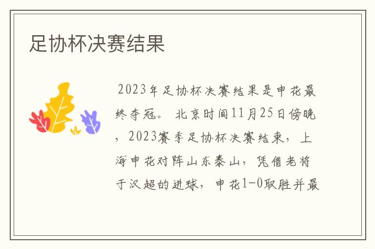 足协杯决赛结果