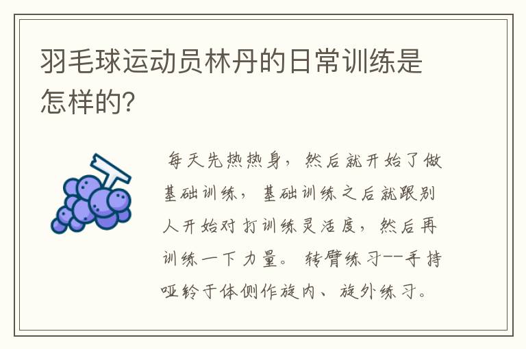羽毛球运动员林丹的日常训练是怎样的?