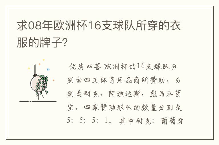 求08年欧洲杯16支球队所穿的衣服的牌子?