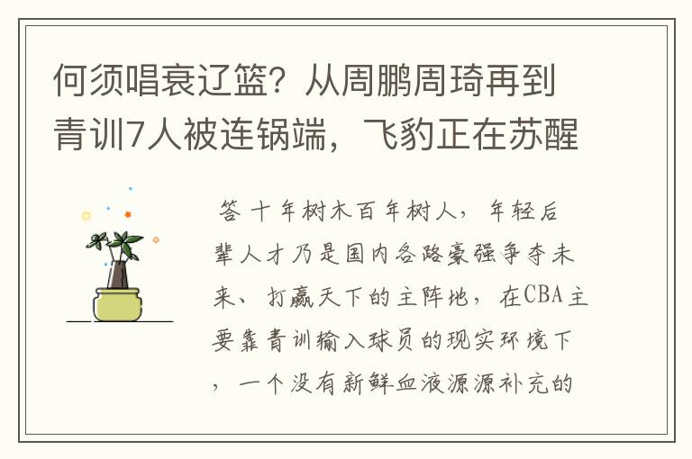 何须唱衰辽篮?从周鹏周琦再到青训7人被连锅端,飞豹正在苏醒