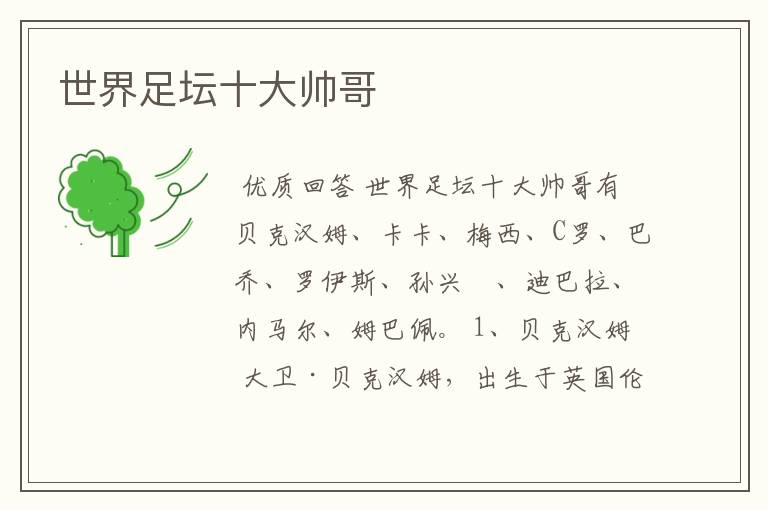 世界足坛十大帅哥