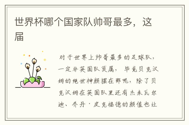 世界杯哪个国家队帅哥最多,这届