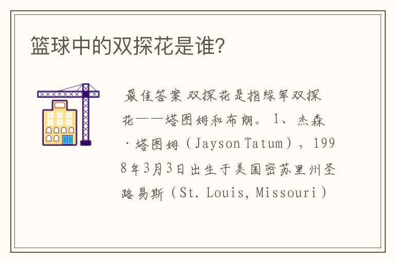 篮球中的双探花是谁?