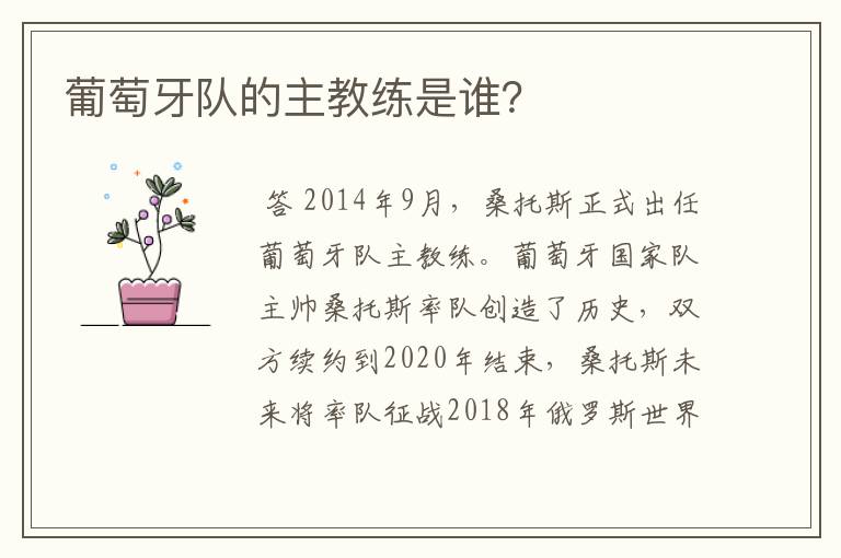 葡萄牙队的主教练是谁?