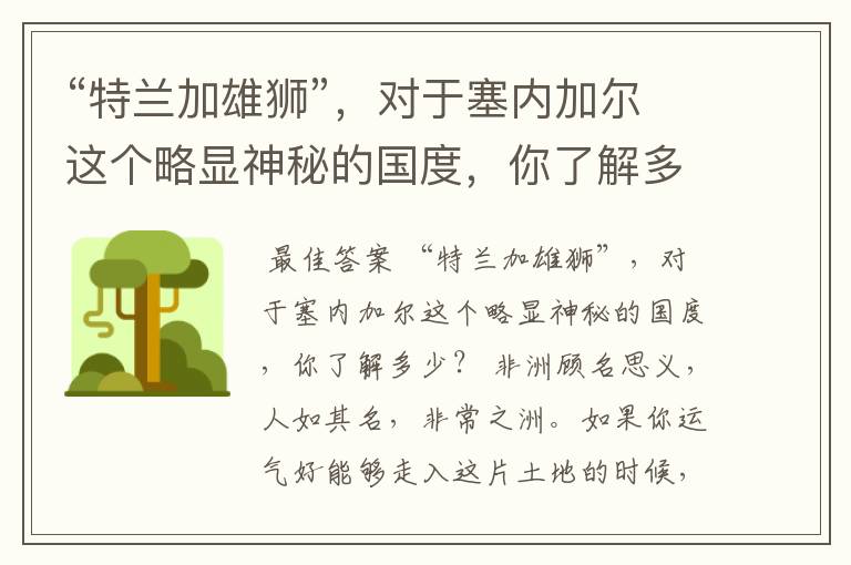 “特兰加雄狮”,对于塞内加尔这个略显神秘的国度,你了解多少?
