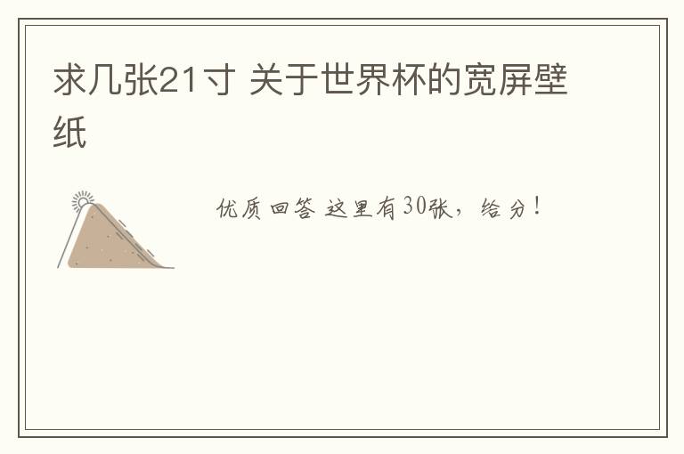 求几张21寸 关于世界杯的宽屏壁纸