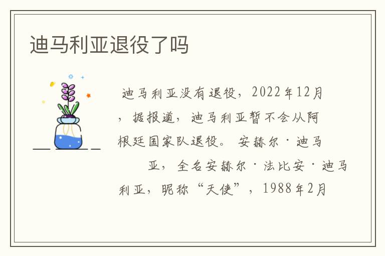 迪马利亚退役了吗