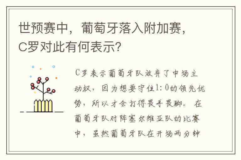 世预赛中,葡萄牙落入附加赛,C罗对此有何表示?