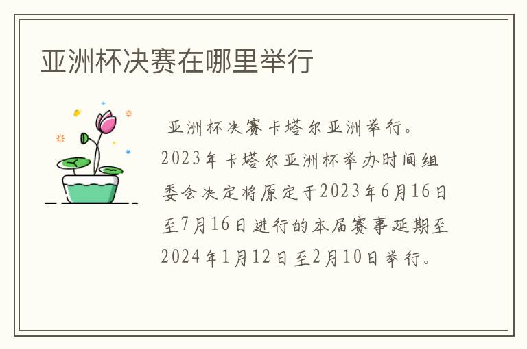 亚洲杯决赛在哪里举行