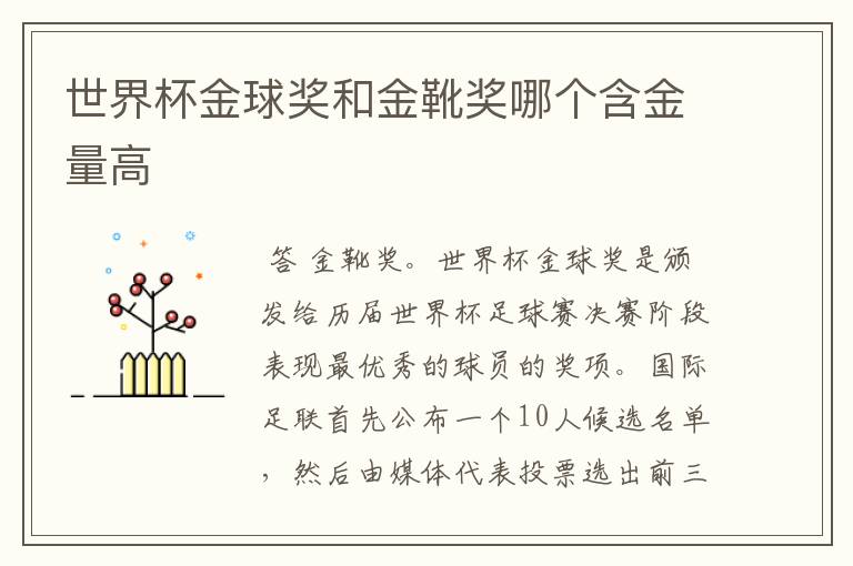 世界杯金球奖和金靴奖哪个含金量高