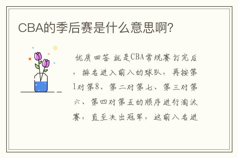 CBA的季后赛是什么意思啊?