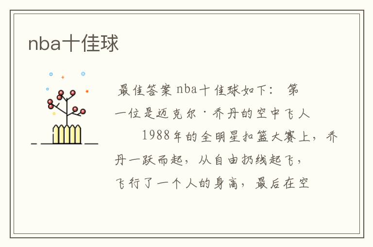 nba十佳球