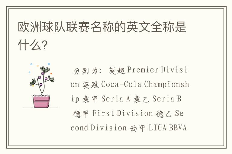 欧洲球队联赛名称的英文全称是什么?