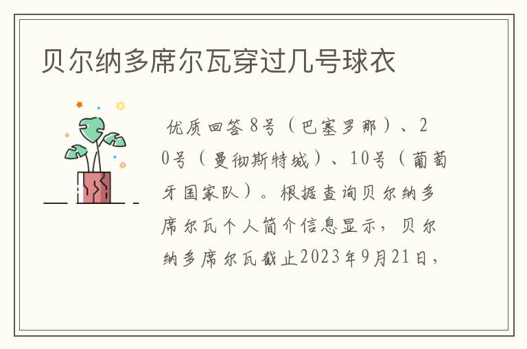贝尔纳多席尔瓦穿过几号球衣
