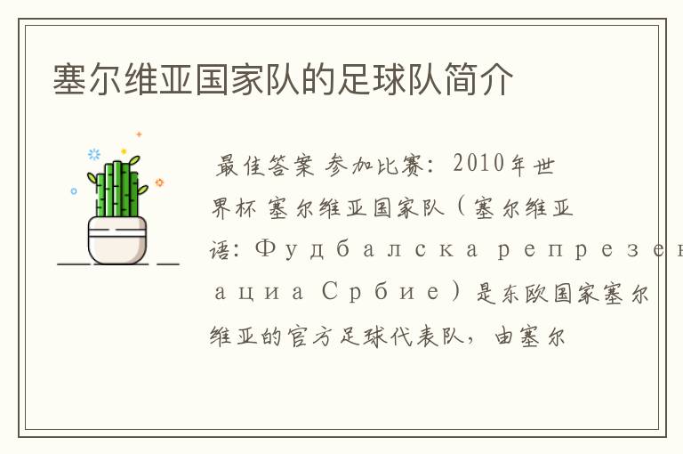 塞尔维亚国家队的足球队简介
