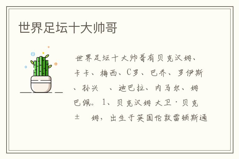 世界足坛十大帅哥