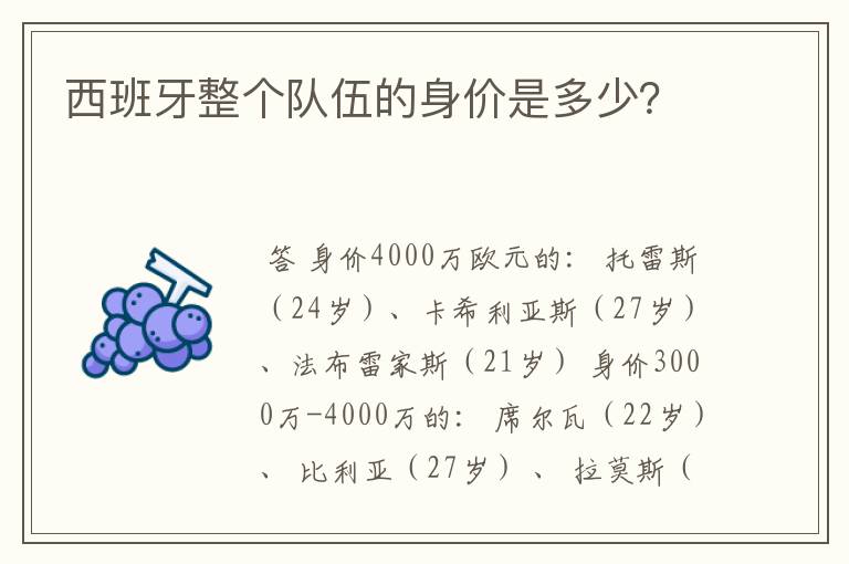 西班牙整个队伍的身价是多少?