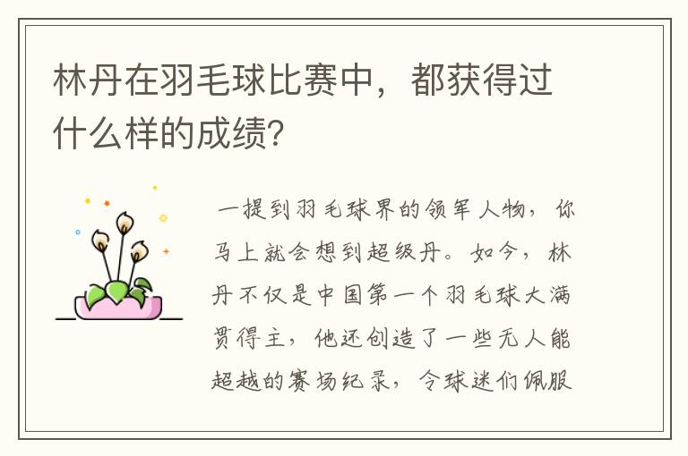林丹在羽毛球比赛中,都获得过什么样的成绩?