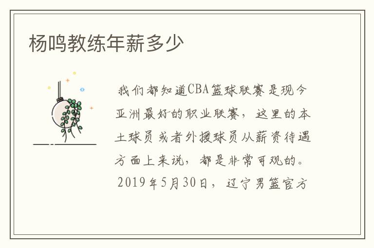 杨鸣教练年薪多少