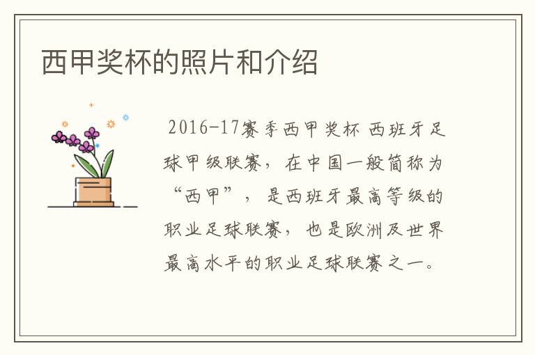 西甲奖杯的照片和介绍