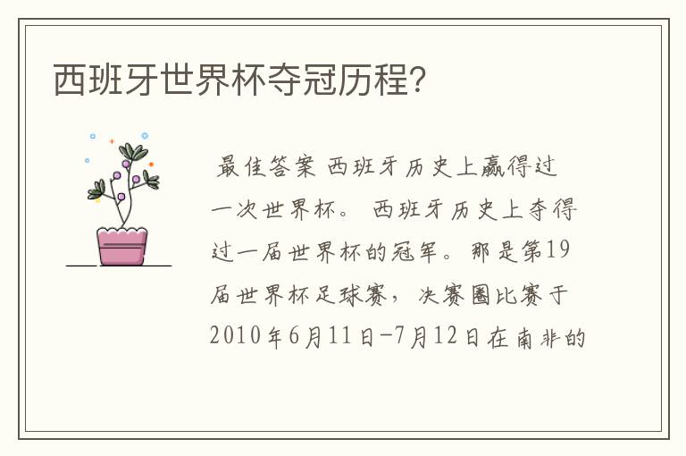 西班牙世界杯夺冠历程?