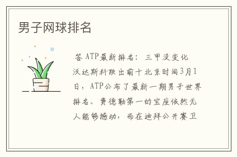 男子网球排名