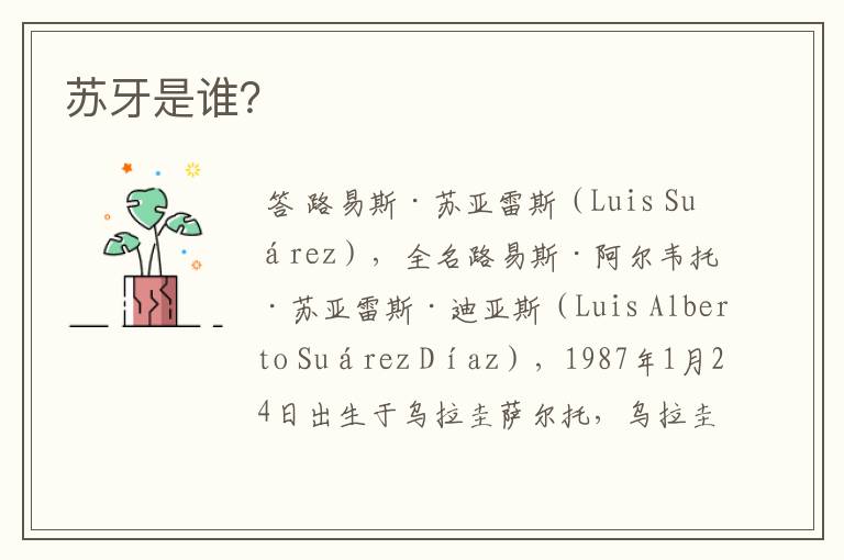苏牙是谁?