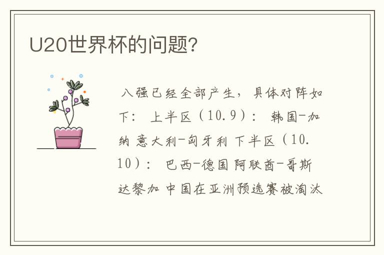U20世界杯的问题?