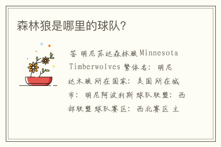 森林狼是哪里的球队?