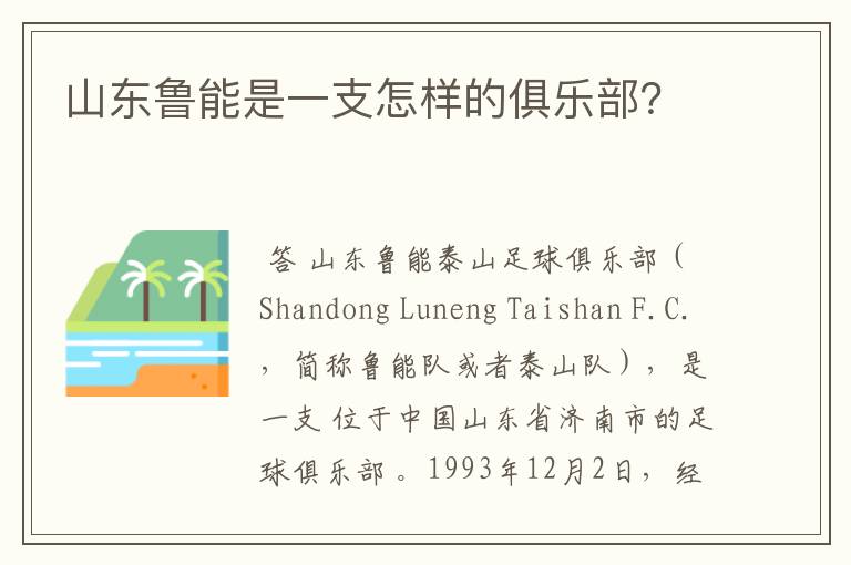 山东鲁能是一支怎样的俱乐部?