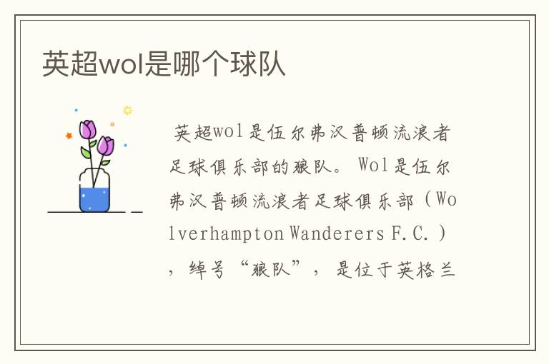 英超wol是哪个球队