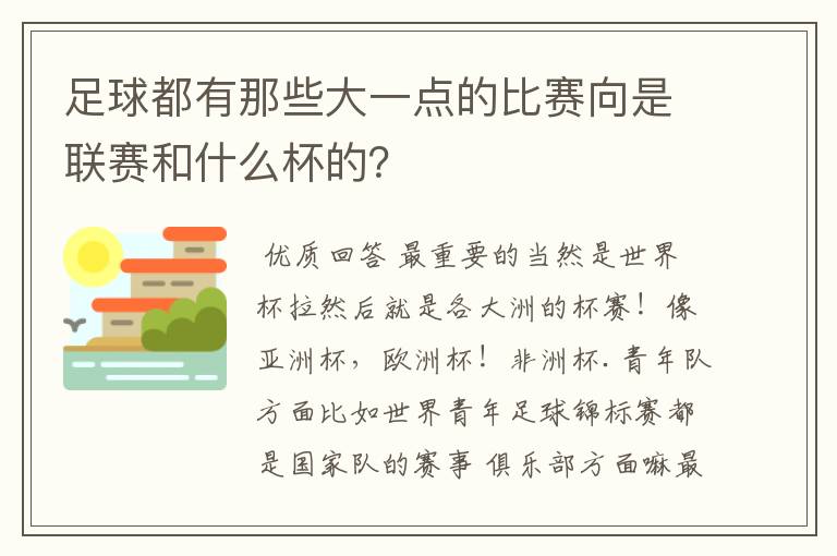 足球都有那些大一点的比赛向是联赛和什么杯的?