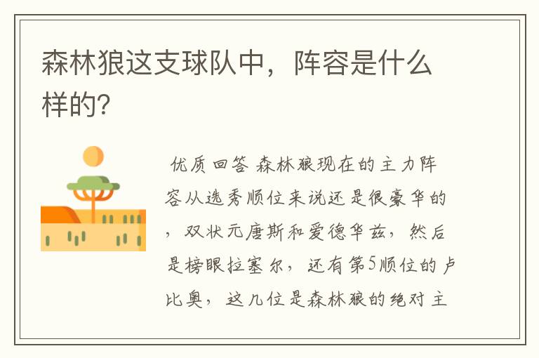 森林狼这支球队中,阵容是什么样的?