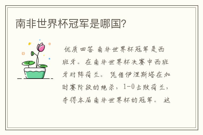 南非世界杯冠军是哪国?