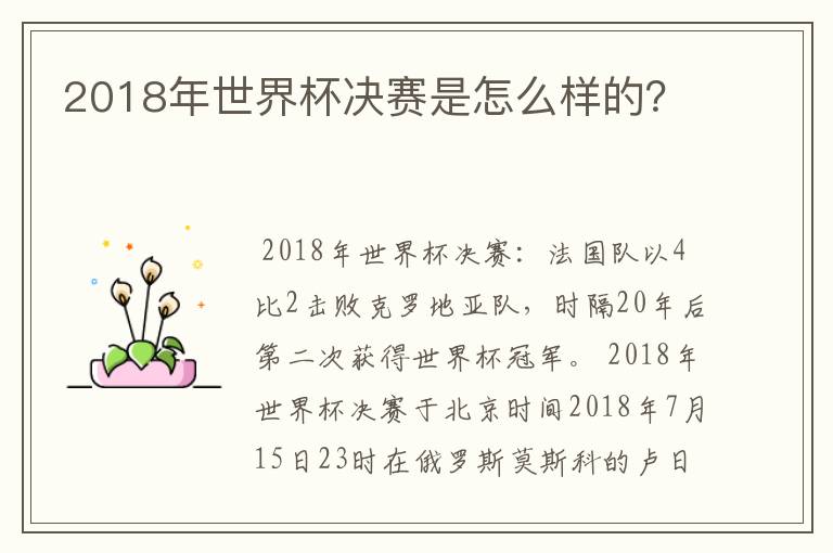 2018年世界杯决赛是怎么样的?