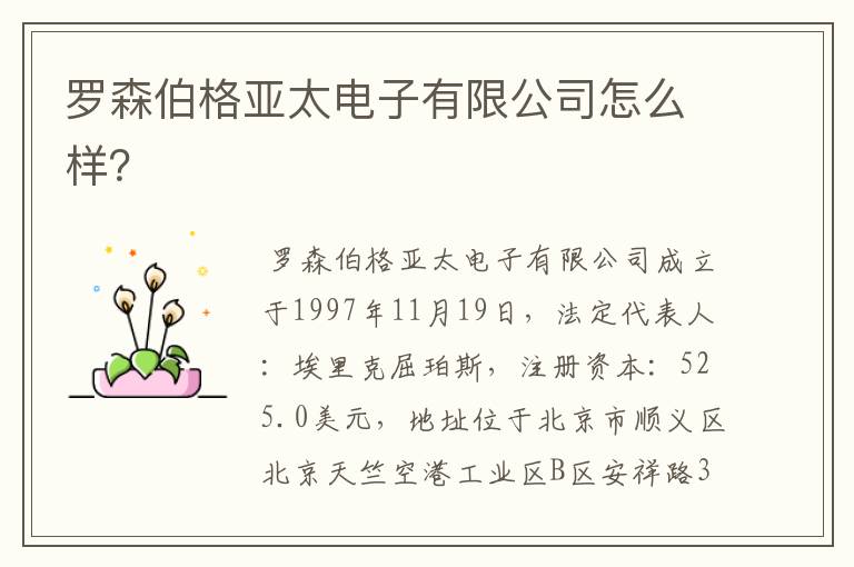 罗森伯格亚太电子有限公司怎么样?