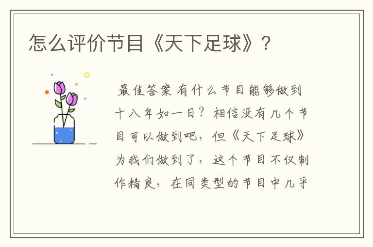 怎么评价节目《天下足球》?
