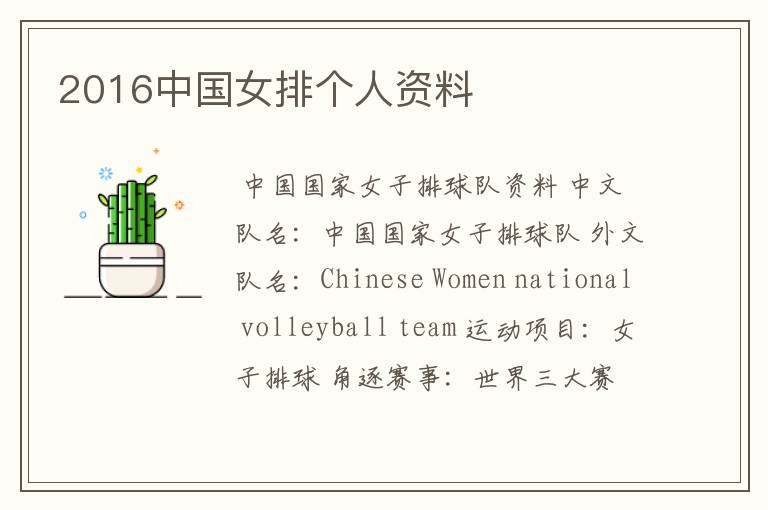 2016中国女排个人资料