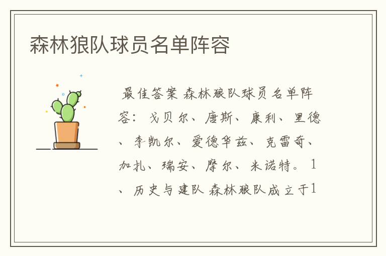 森林狼队球员名单阵容