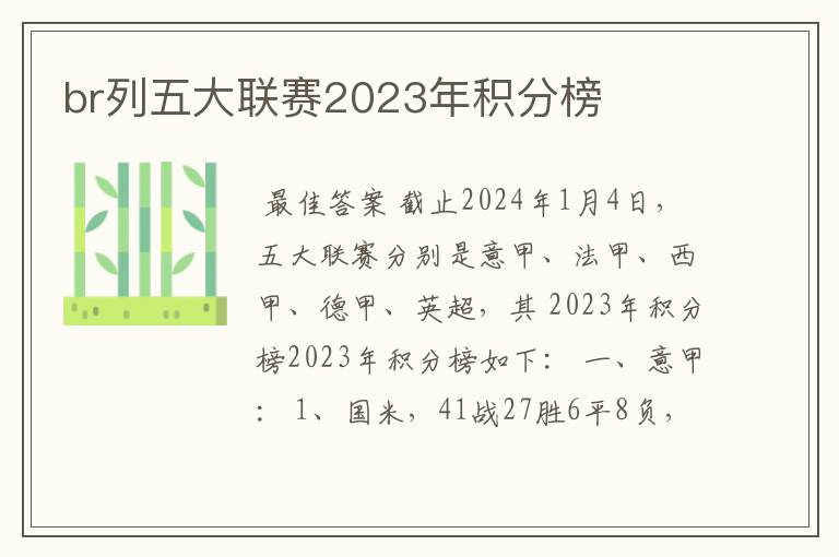 br列五大联赛2023年积分榜