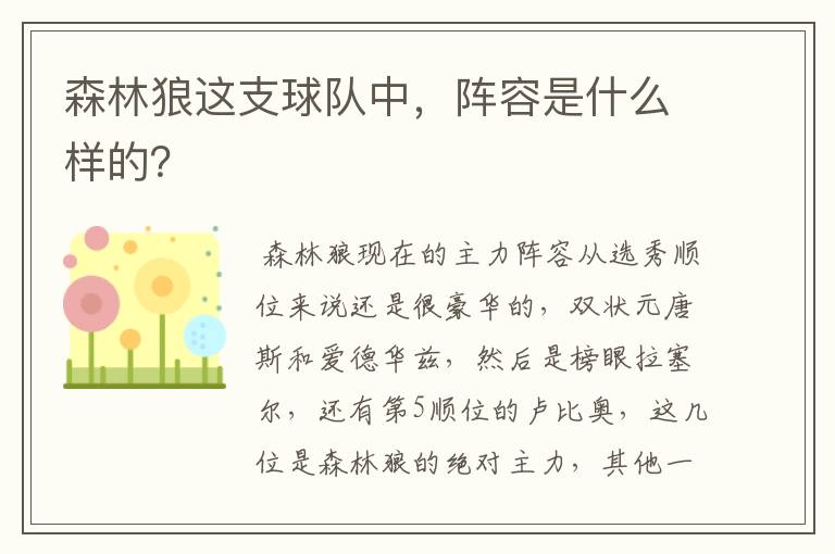 森林狼这支球队中,阵容是什么样的?