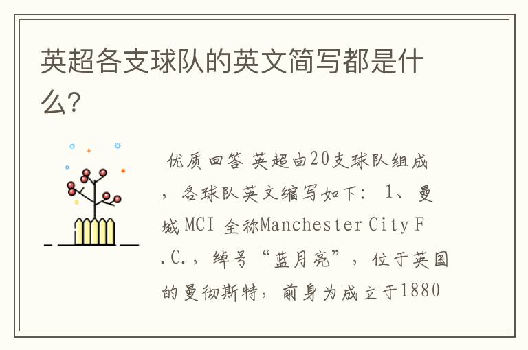 英超各支球队的英文简写都是什么?