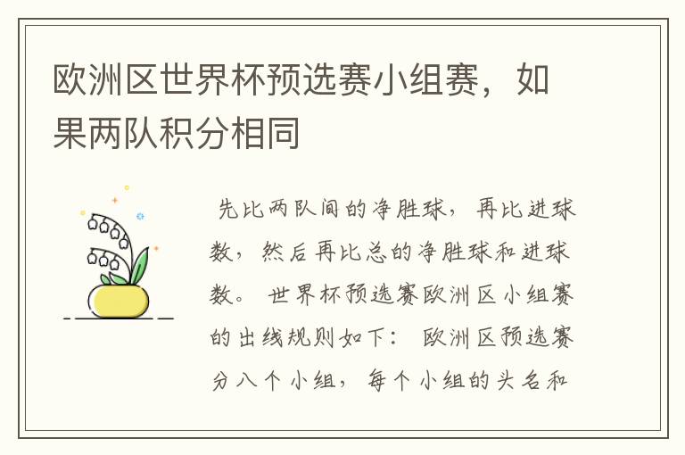 欧洲区世界杯预选赛小组赛,如果两队积分相同