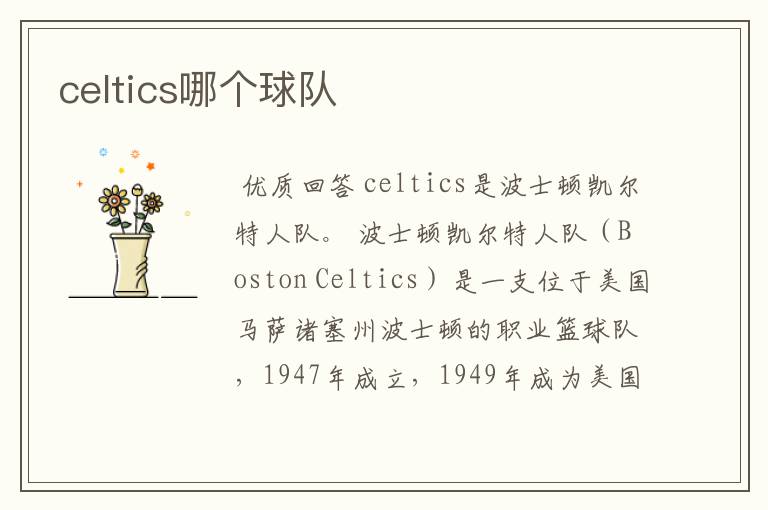 celtics哪个球队